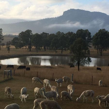 Starline Alpacas Farmstay Resort Broke Exterior foto