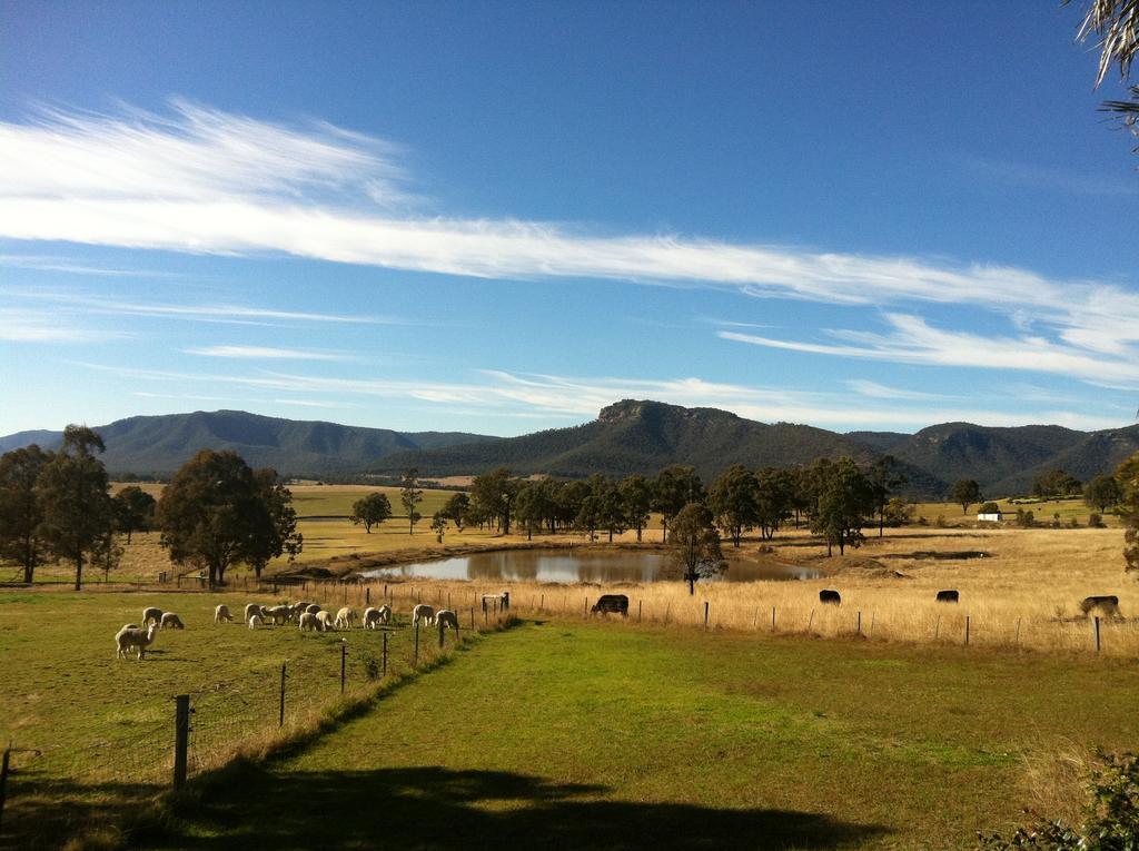 Starline Alpacas Farmstay Resort Broke Exterior foto